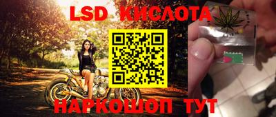 амф Новозыбков