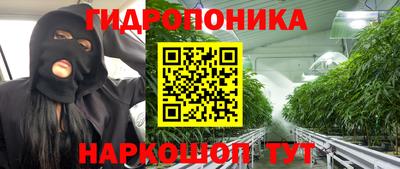 амф Новозыбков
