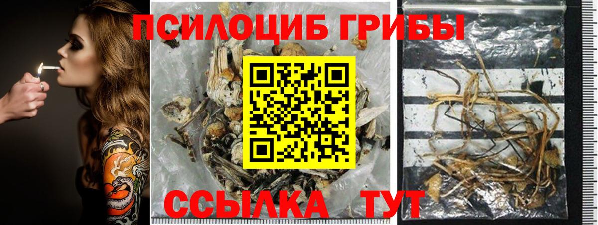 Галлюциногенные грибы Cubensis Хабаровск