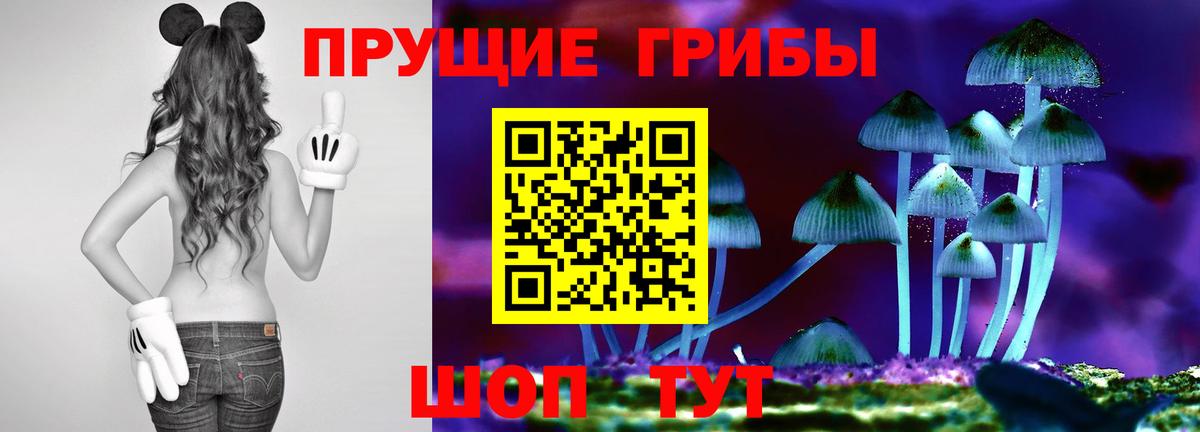 как найти закладки  Псилоцибиновые грибы Psilocybe  Вход с VPN  Хабаровск 